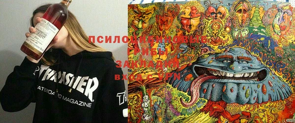 ПСИЛОЦИБИНОВЫЕ ГРИБЫ Алексин