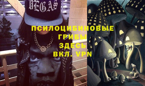 ПСИЛОЦИБИНОВЫЕ ГРИБЫ Алексин