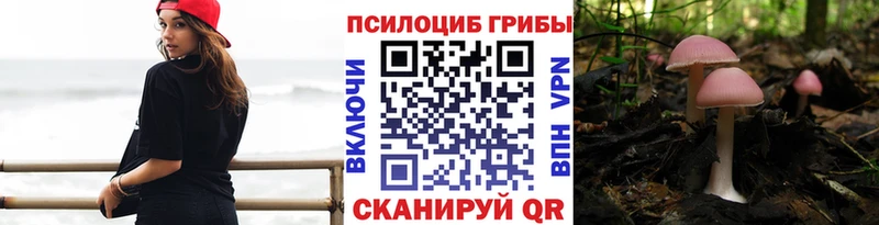 наркотики  Межгорье  МЕГА ссылки  Галлюциногенные грибы Cubensis 